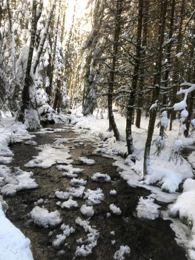 Le Batelier Du Lac Gérardmer Eksteriør bilde