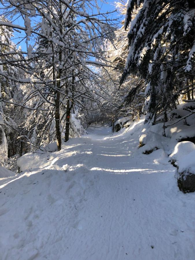 Le Batelier Du Lac Gérardmer Eksteriør bilde